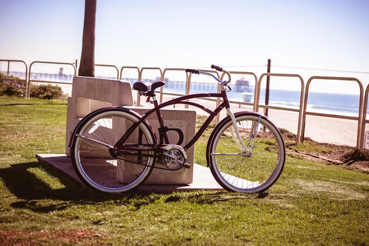 A bicycle parked on the grass beside the beach on a sunny day