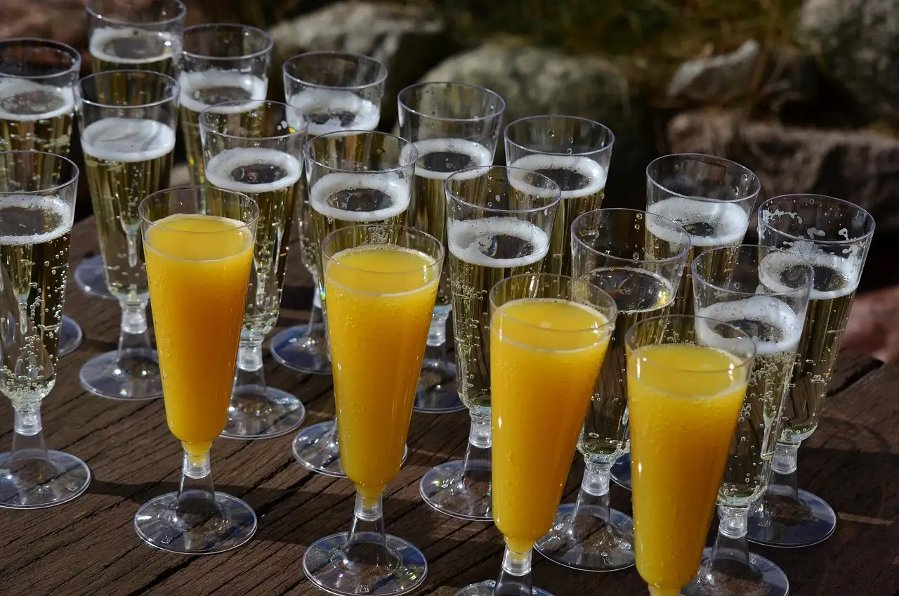 Rows of glasses with sparkling wine and orange juice