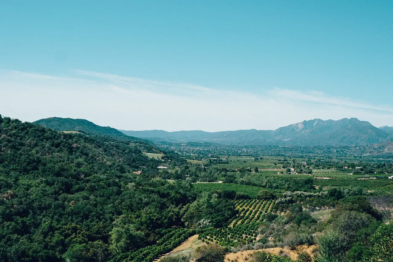 Green hills and rows of vineyards in a wide Southern California valley under a blue sky