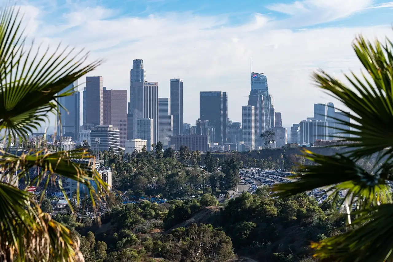 The Downtown Los Angeles skyline framed by palm leaves