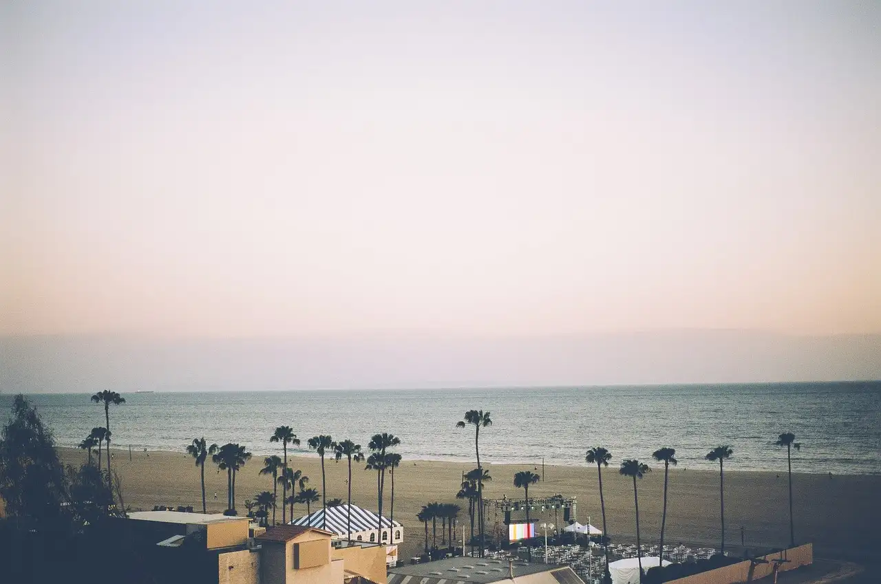Rows of palm trees along the beach in Santa Monica at dusk
