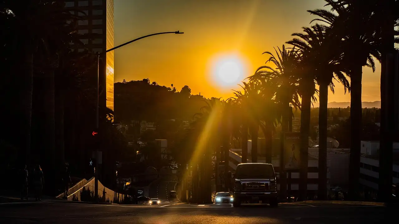 The sun setting behind tall palm trees over a street in Hollywood