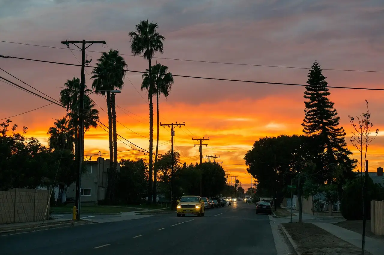 Tall palm trees along a quiet Los Angeles street under an orange sunset