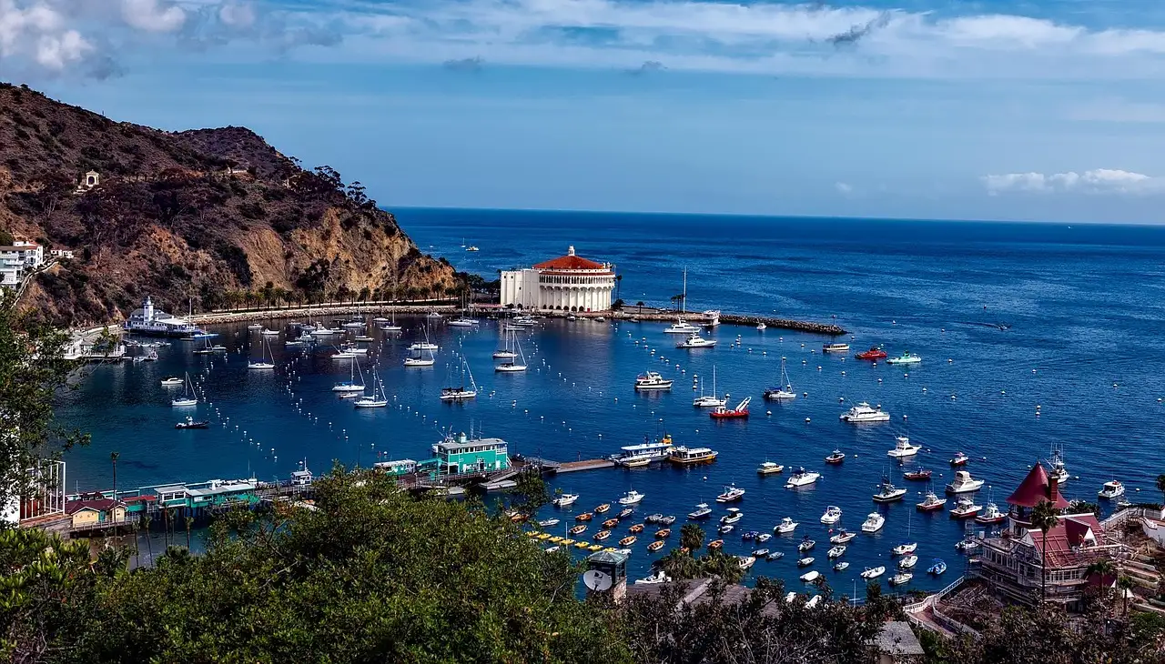 Boats in the bay of Avalon on Catalina Island, below green hills