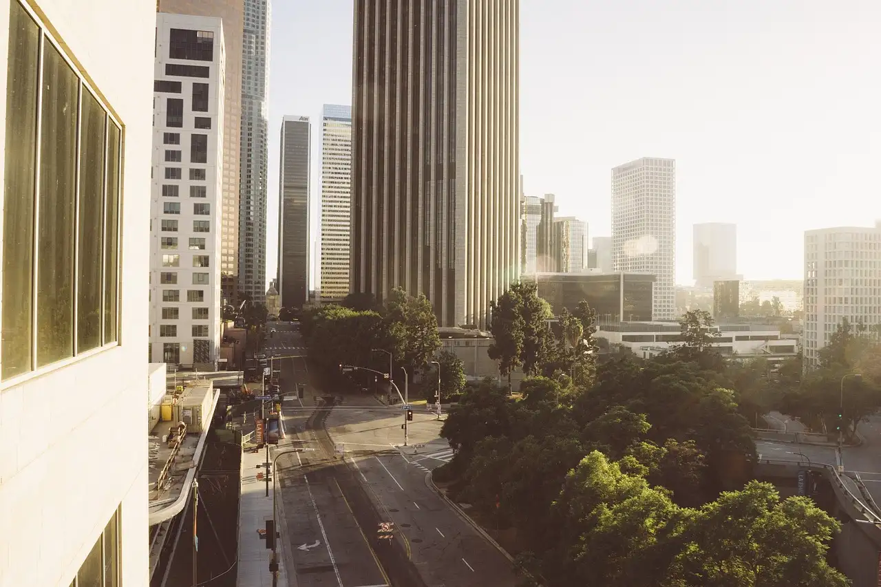 Downtown Los Angeles office towers above a tree-lined street