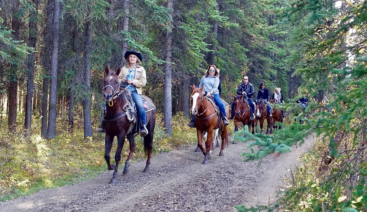 A line of riders on horseback following a dirt trail through a forest
