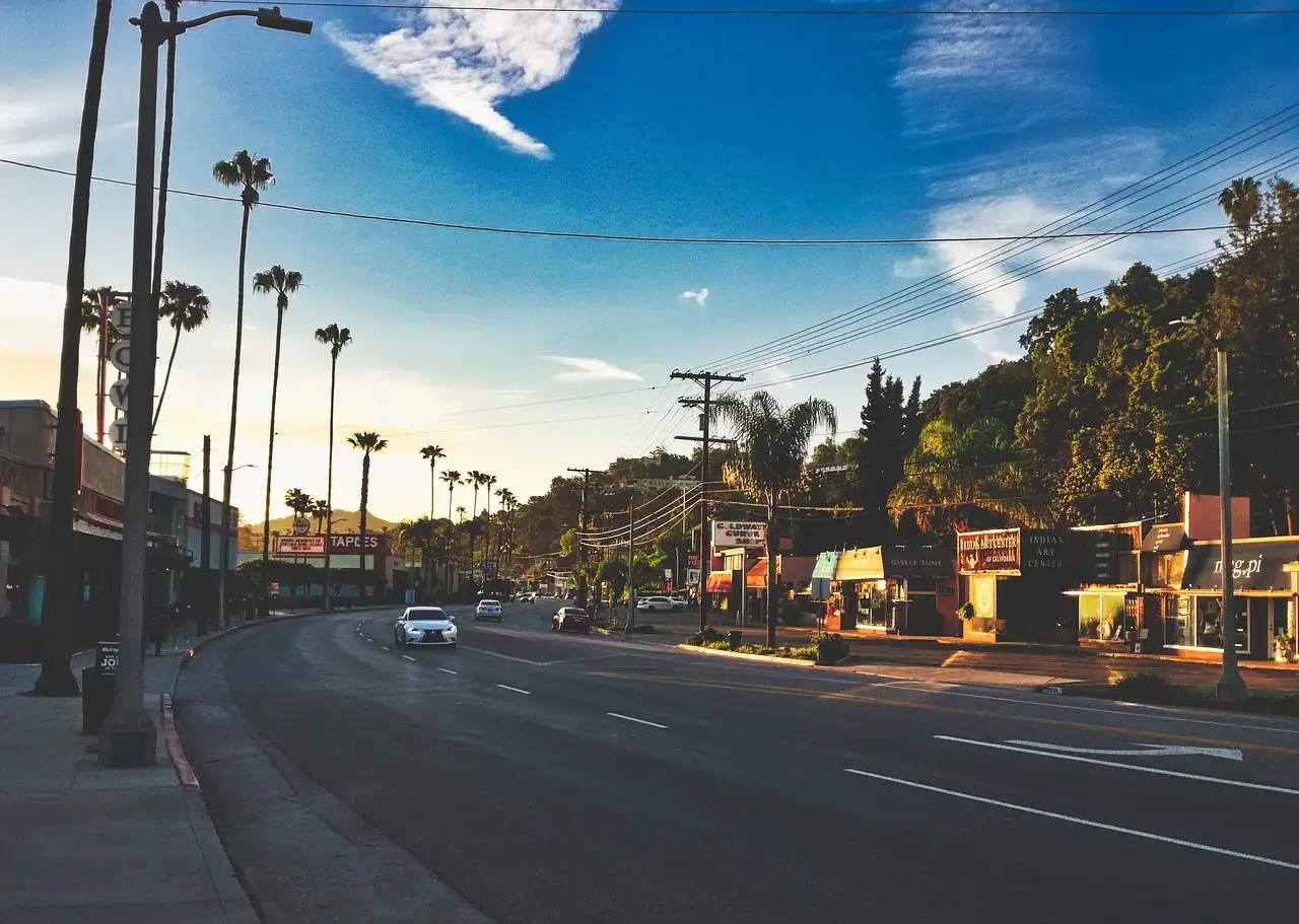 A wide Los Angeles street lined with tall palm trees in the morning light