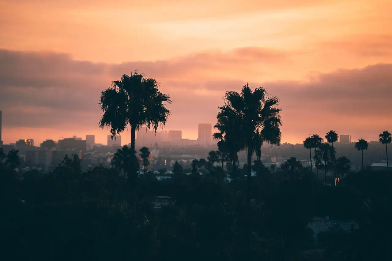Palm trees in silhouette against an orange sunset over the towers of West Los Angeles