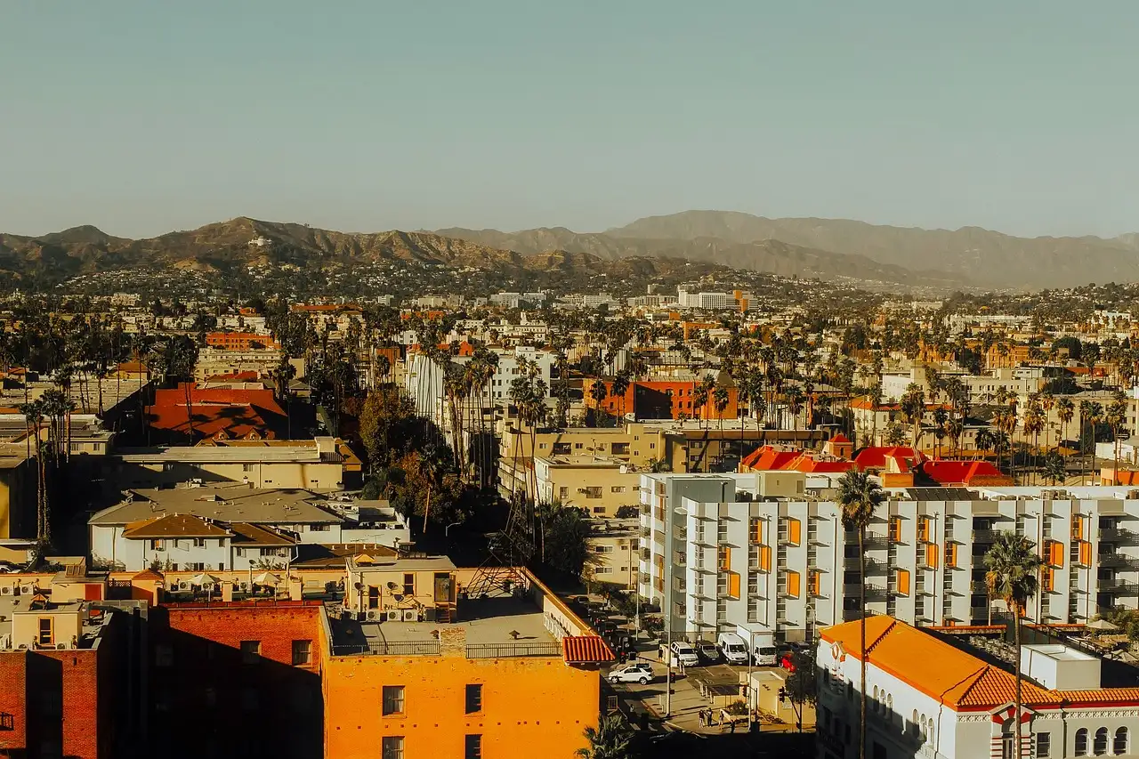 Rooftops, palms and apartment blocks below the Hollywood Hills