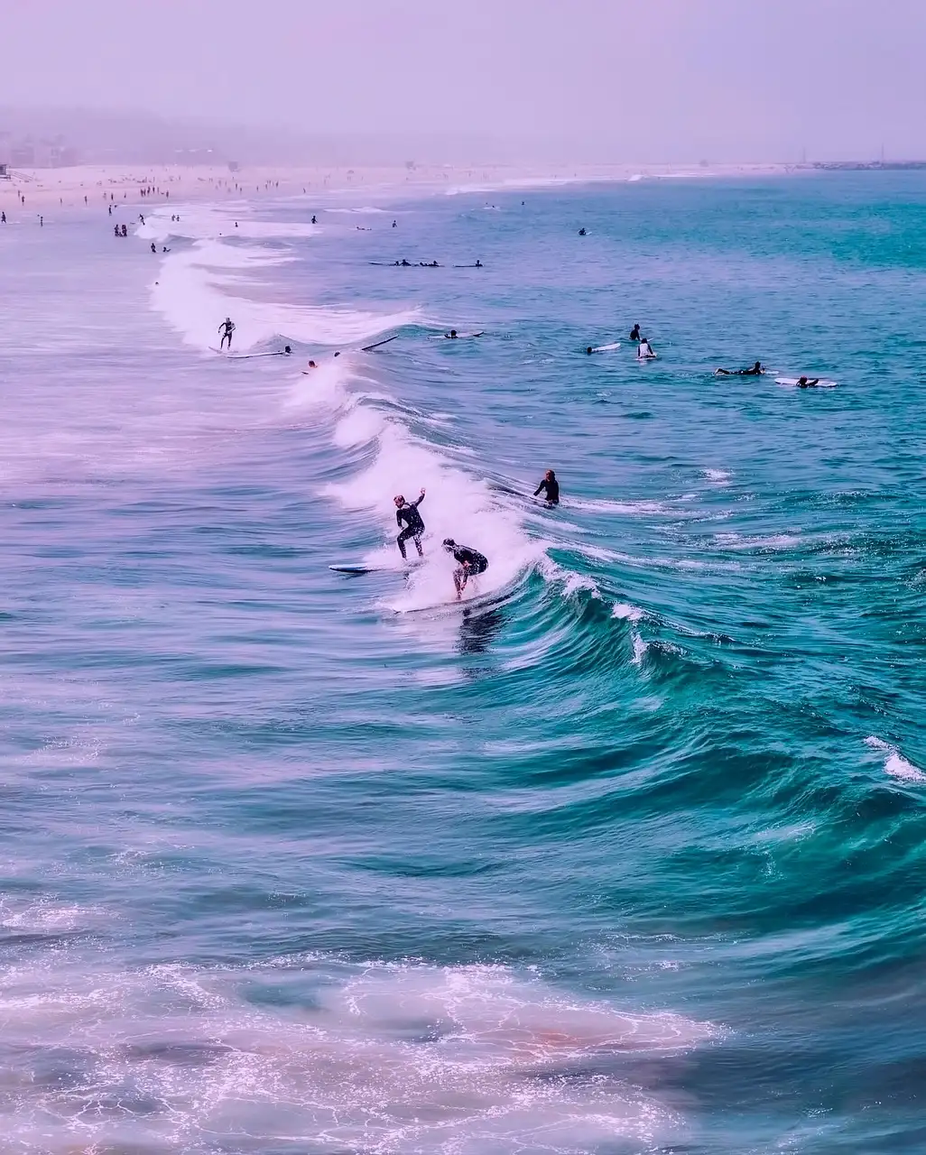 Surfers riding and waiting for waves off Venice Beach