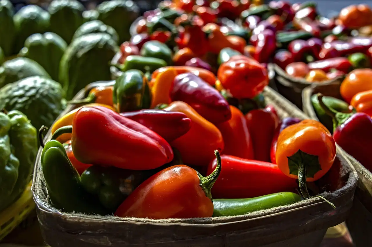 Baskets of red, orange and green peppers on a farmers market stall