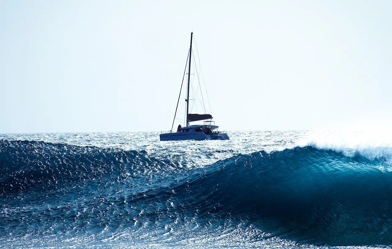 A catamaran sailing on open sea